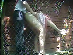 Beautiful sex and blowjob first-person
