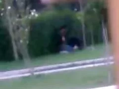 Iranian